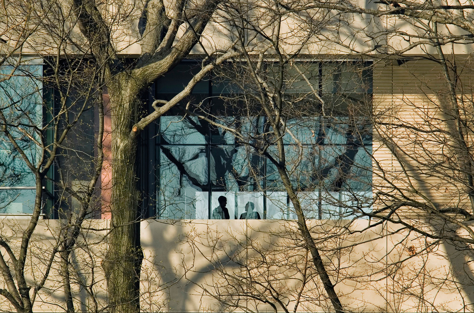 New York Botanic Garden/Pfizer Laboratory Bronx New York Polshek Partnership Architects