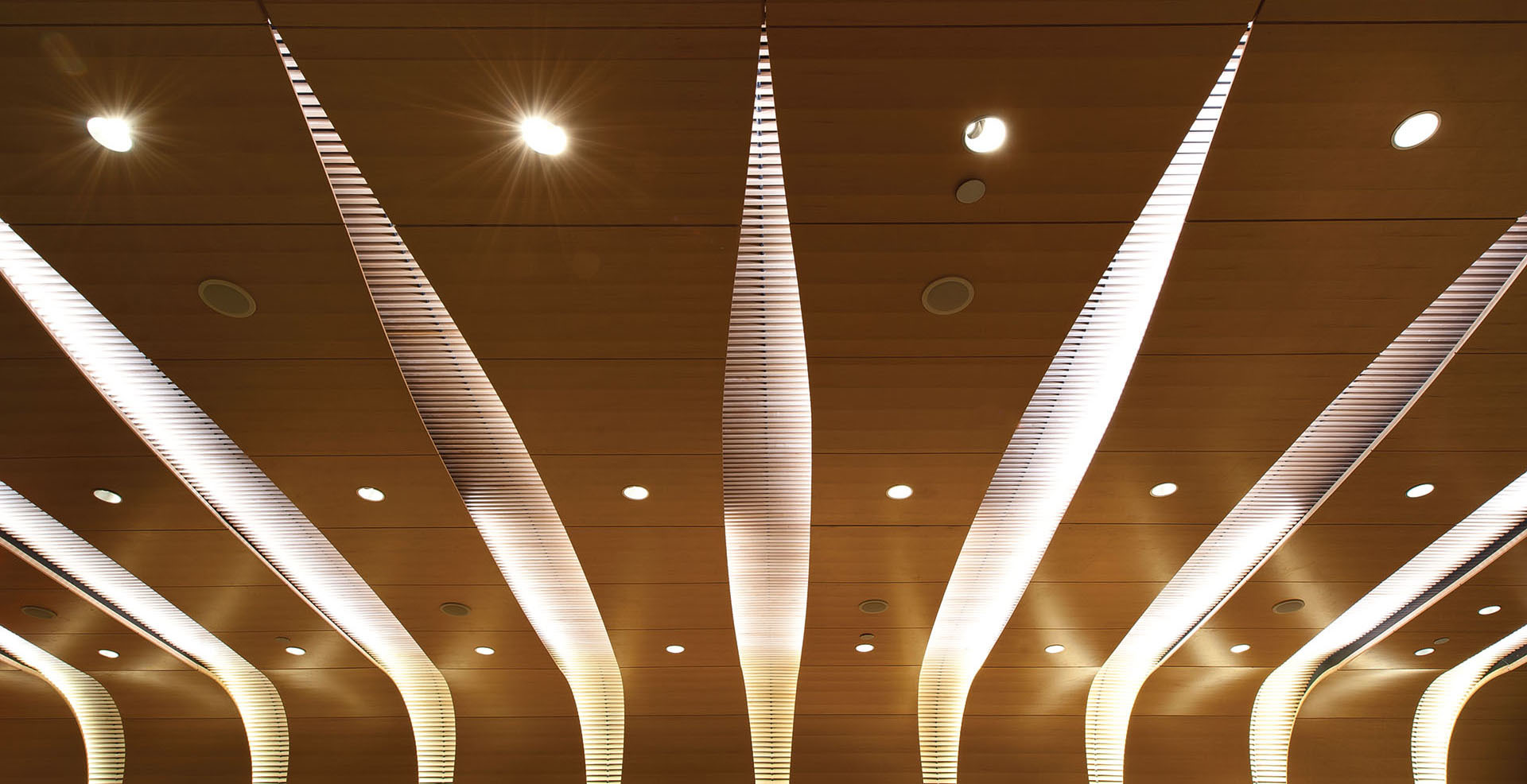 9809_Bard_Ceiling