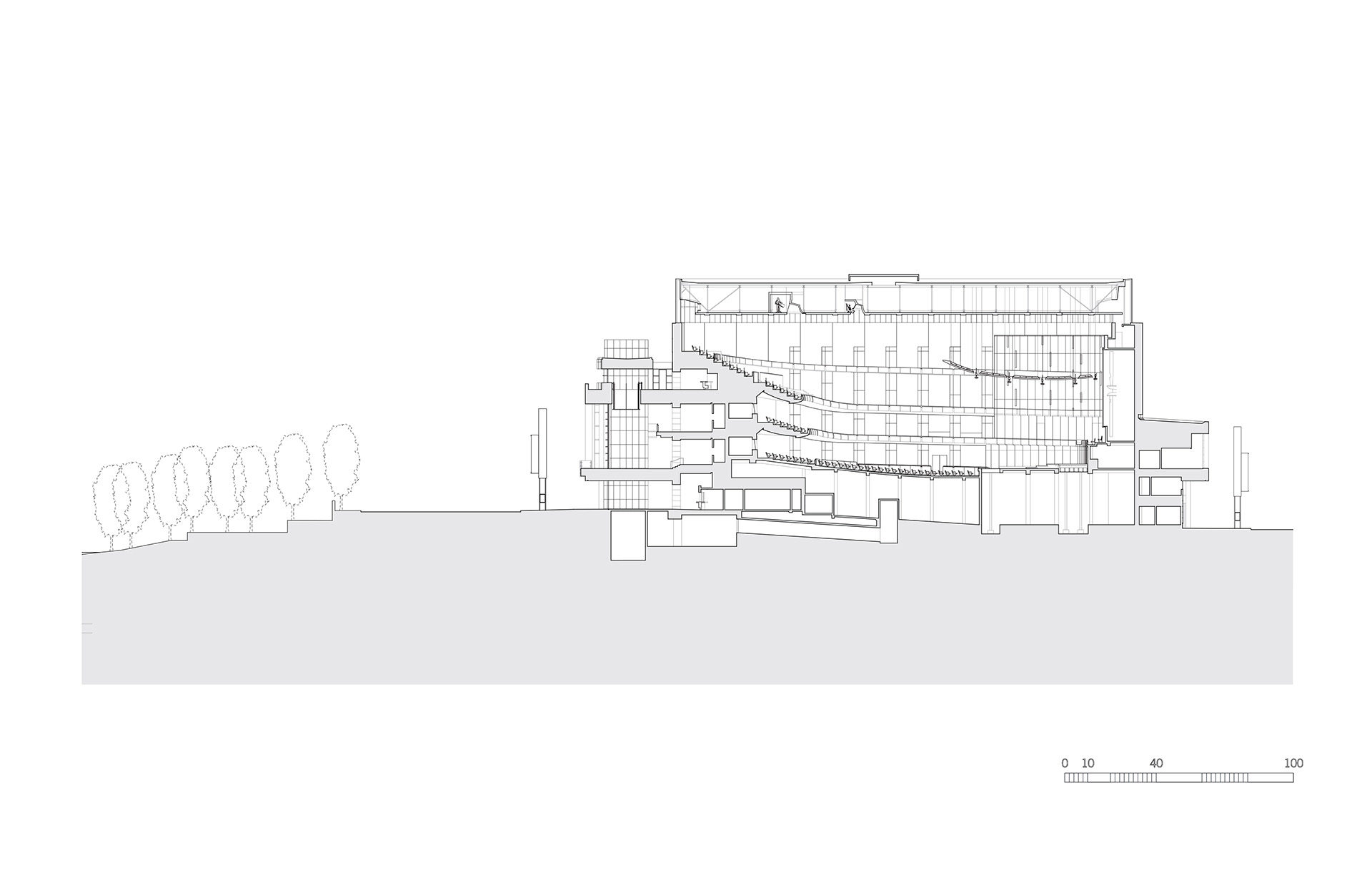 Holland-SECTION-2