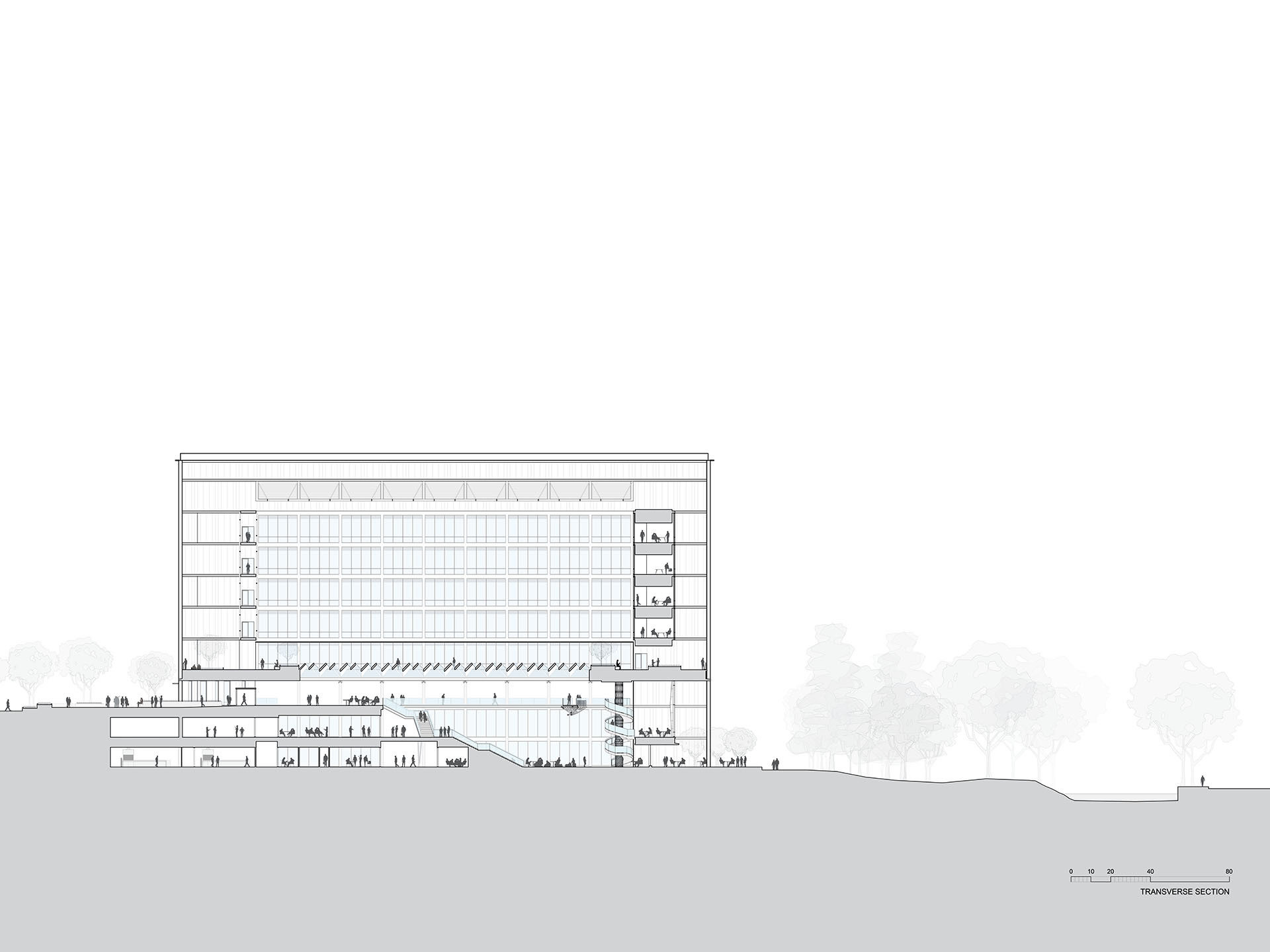 1012-Drawing-section
