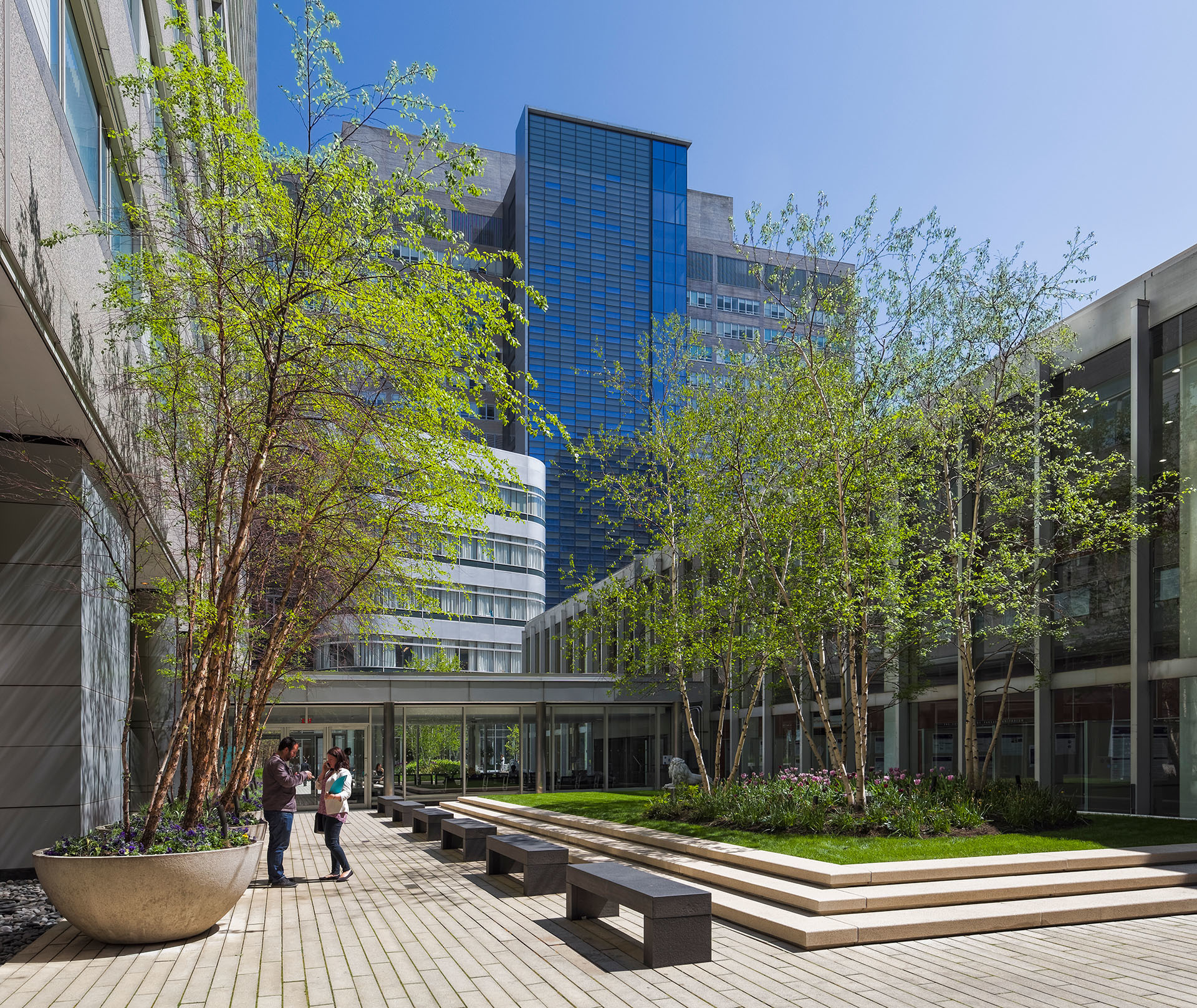 NYU Langone Medical Center, Location: New York, New York, Architect: Ennead