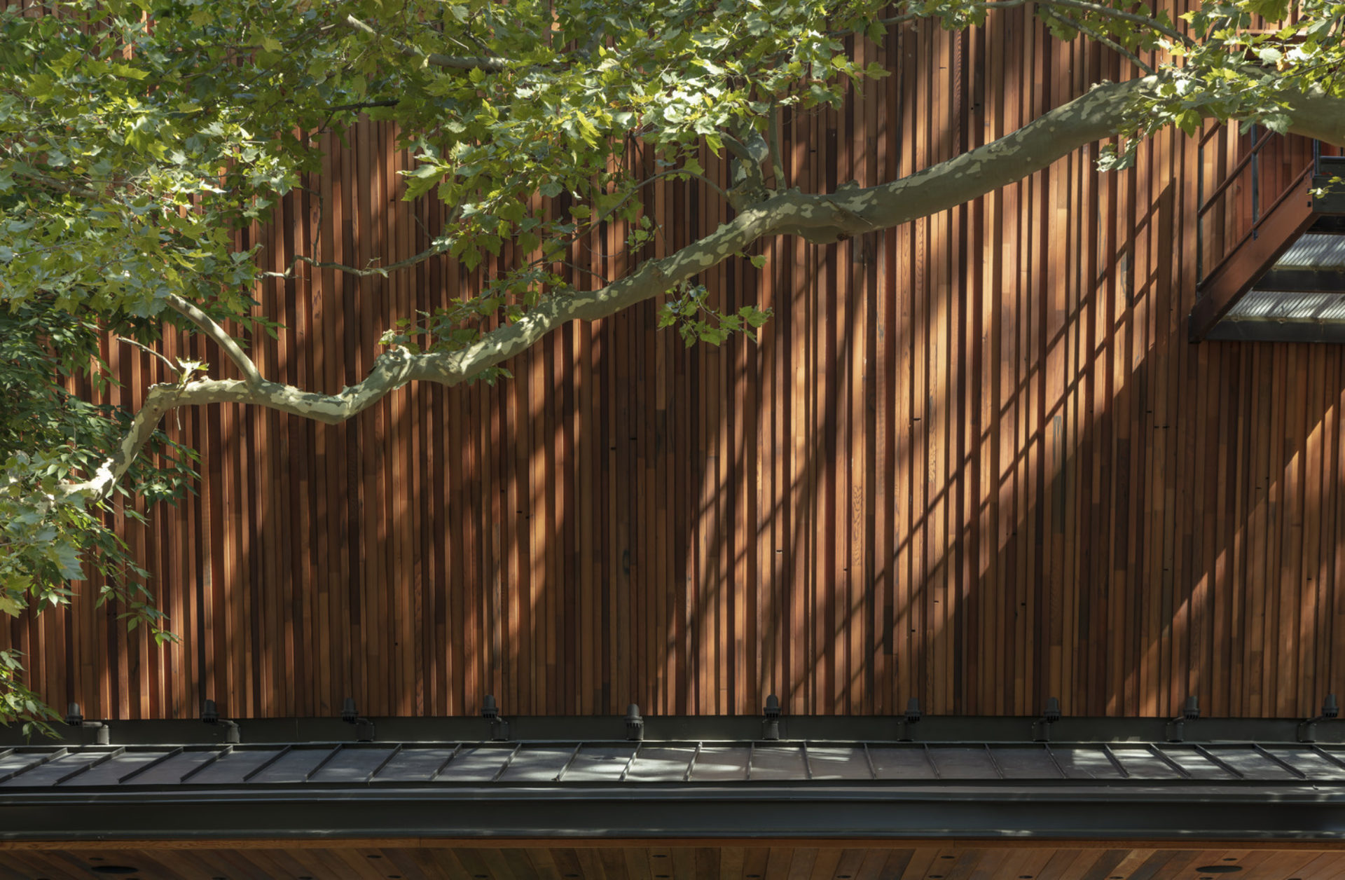 Ennead-2031-Public-Delacorte-01-FinalExtPhoto-0025_medium